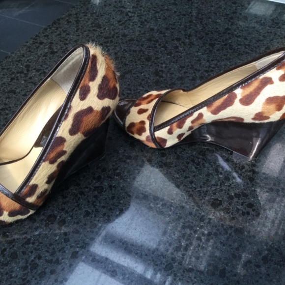 Meet your Posher, Penny - Picture 2 of 4